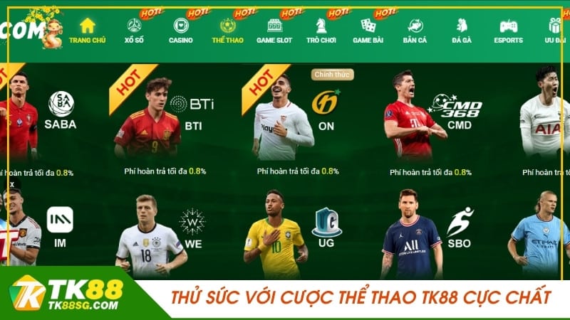 Thông tin chi tiết về các yêu cầu để được thăng cấp lên cấp độ Sum99 - Sum99