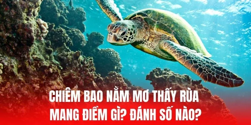 Hướng dẫn đăng ký – Cách truy cập Uw99 - Uw99