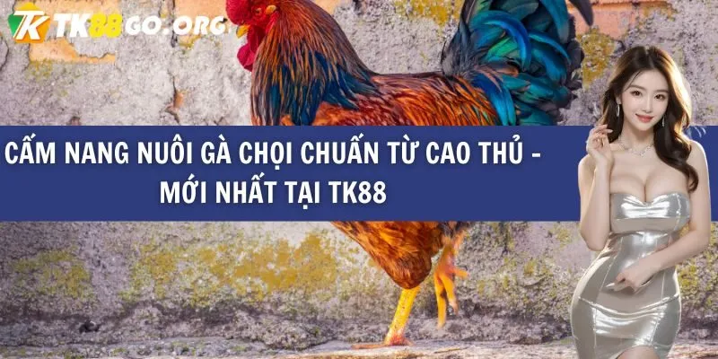 Hướng dẫn cách tải ứng dụng trò chơi Jili về điện thoại của bạn - Jili