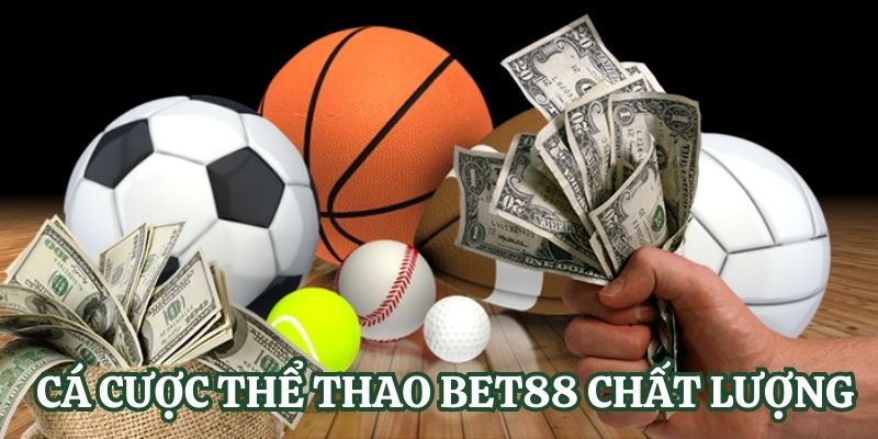 Sản phẩm này có thể được mua trên các trang web trò chơi giải trí được xếp hạng Betcom - Betcom