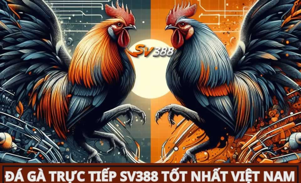 Câu hỏi thường gặp về dịch vụ trực tuyến của Mobi66 - Mobi66