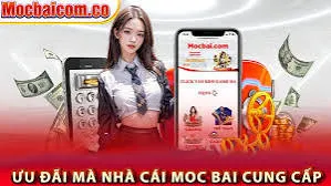 Hướng dẫn phát triển nền tảng P3bet - P3bet