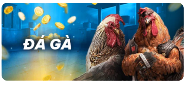 Các hoạt động quảng bá nhắm mục tiêu vào người chơi cấp Jdb666 - Jdb666