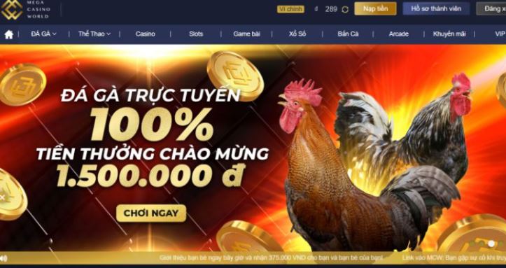 Sbotop cung cấp dịch vụ tư vấn chuyên nghiệp 24/7 - Sbotop