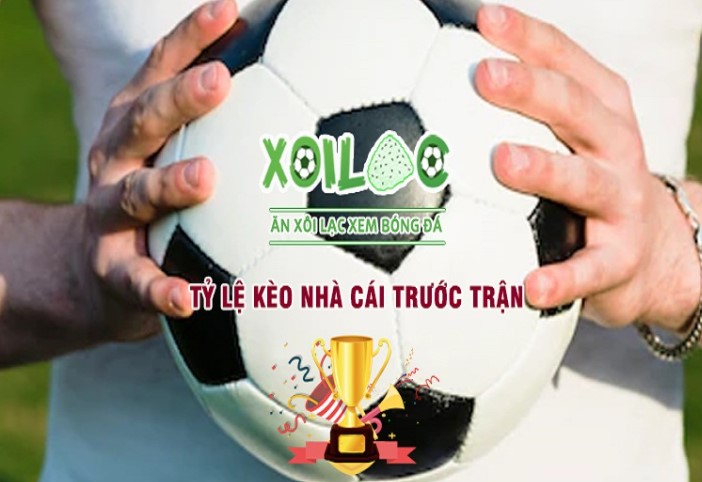 Đánh giá game trên website ở cấp độ Gowin, các chương trình khuyến mãi và giảm giá game - Gowin