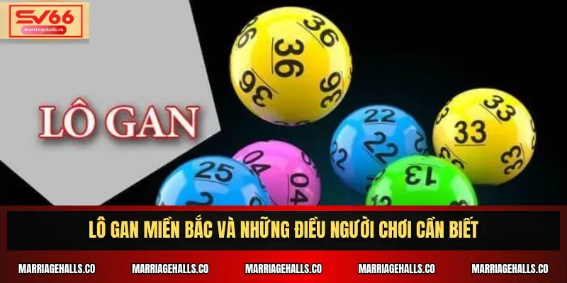 Ww88 cung cấp các trò chơi thể thao phổ biến - Ww88