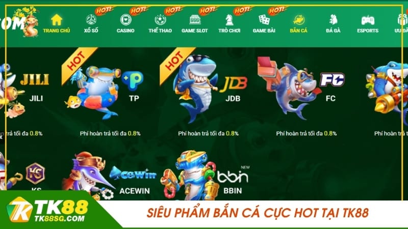 13Win cung cấp cho người chơi dịch vụ nạp và rút tiền nhanh chóng - 13Win
