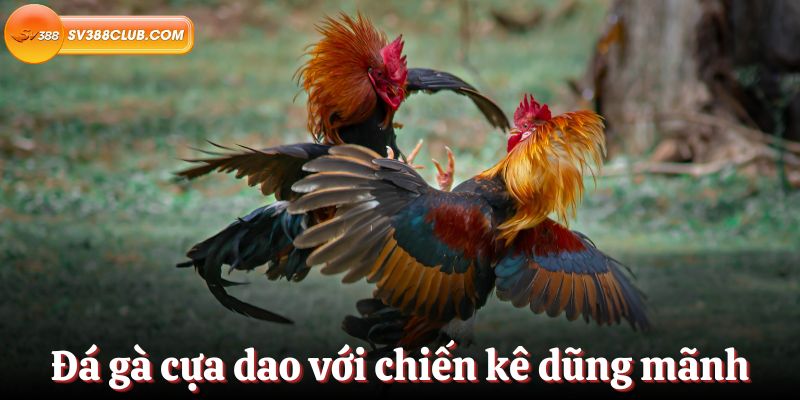 Kg88 không có mức cược tối thiểu và là trang web chơi game trực tuyến tốt nhất - Kg88