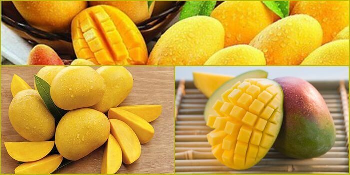 Wibo88 hỗ trợ những tựa game nào? - Wibo88