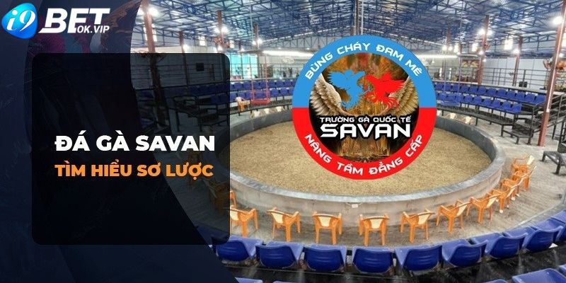 Hướng dẫn cách đăng ký tài khoản Kuwin và nhận mã dành cho người mới - Kuwin