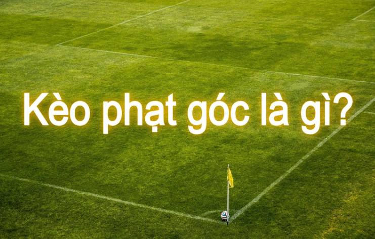 Cách tham gia cá cược xổ số trực tuyến Bet66 - Bet66
