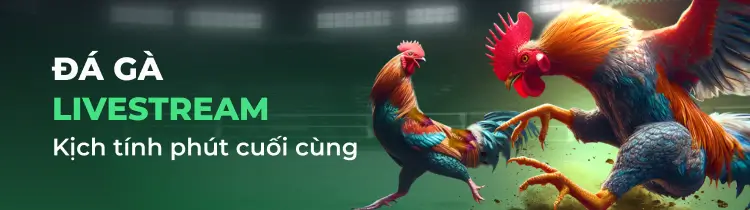 Cách nhanh nhất để đăng ký tài khoản Xs88 - Xs88